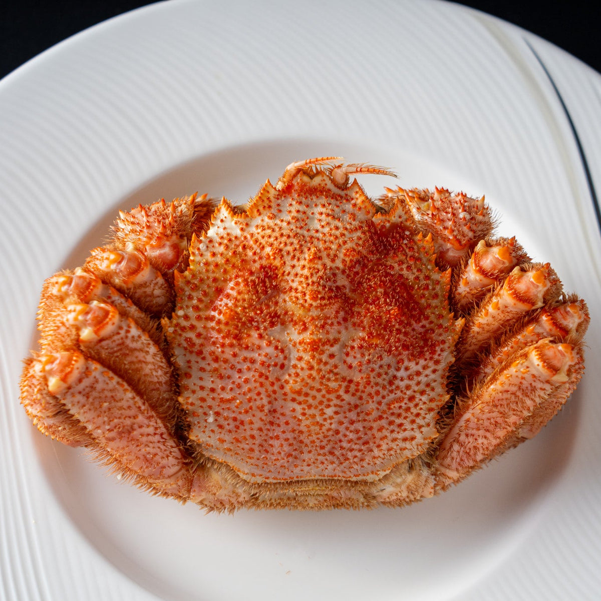 北海道毛蟹を堪能!満腹セット〈約300g×4杯〉
