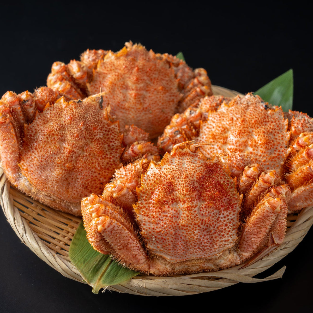 北海道毛蟹を堪能！満腹セット〈約300g×4杯〉