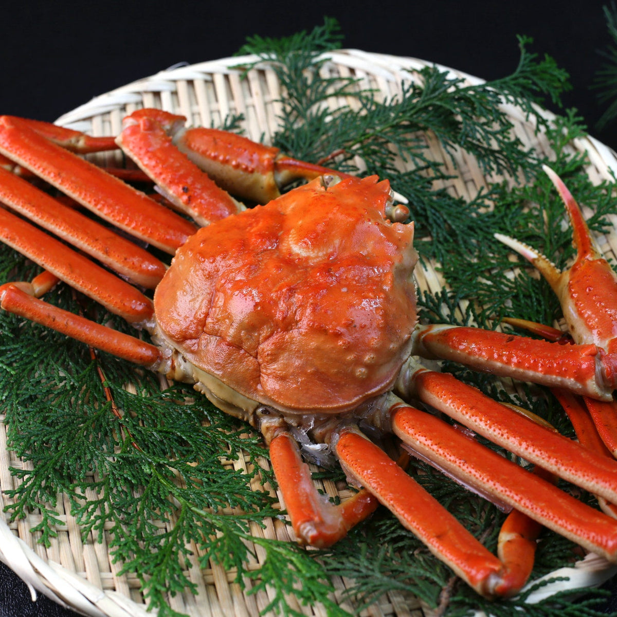 オオズワイガニを堪能！満腹セット〈約500〜600g×3杯〉