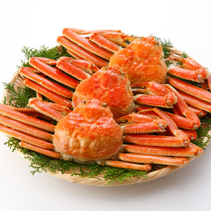 オオズワイガニを堪能！満腹セット〈約500〜600g×3杯〉
