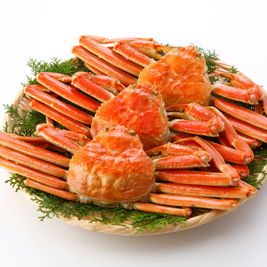 オオズワイガニを堪能！満腹セット〈約500〜600g×3杯〉